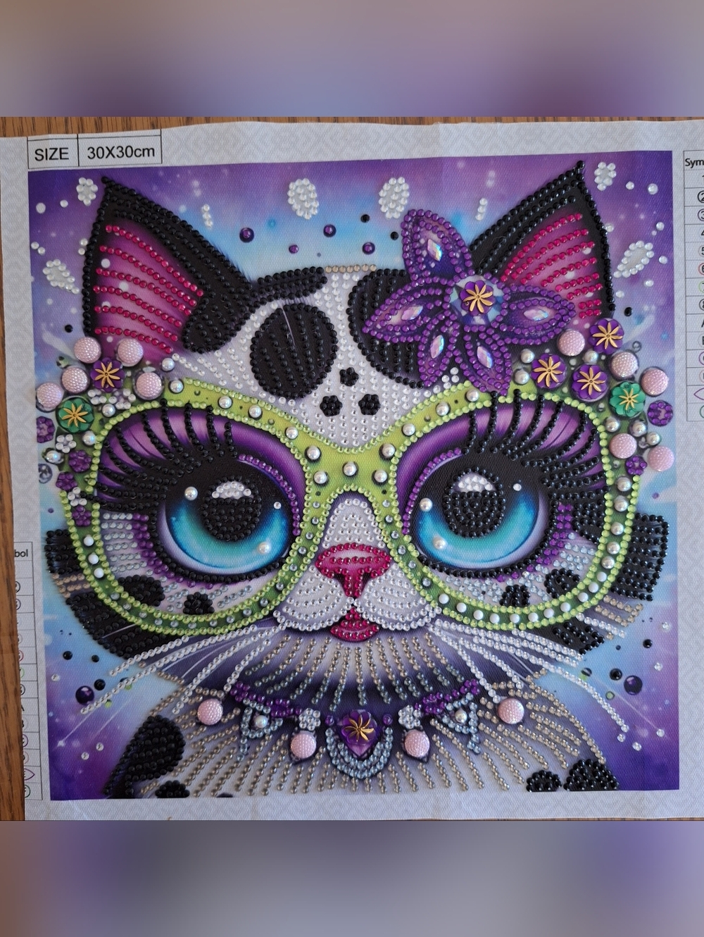 Classy Flamboyant Cool Cat Completed Diamond Painting